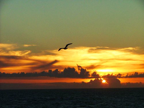 Raston Guest House (13)