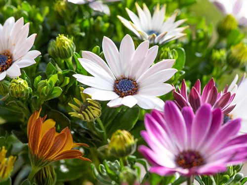 Raston Guest House (4)