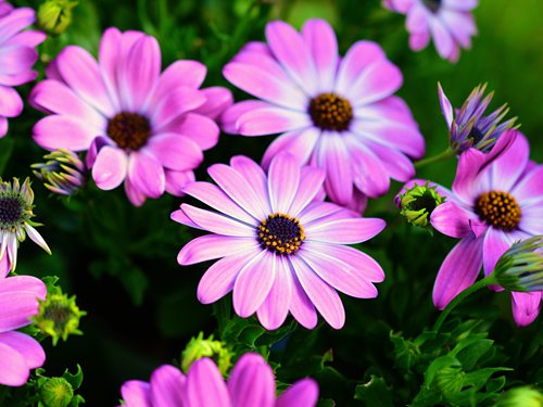 Raston Guest House (5)